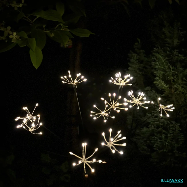 ILLUMAXX Svítidlo venkovní solární SOLAR DAISIES se soumrakovým čidlem, výška 73cm