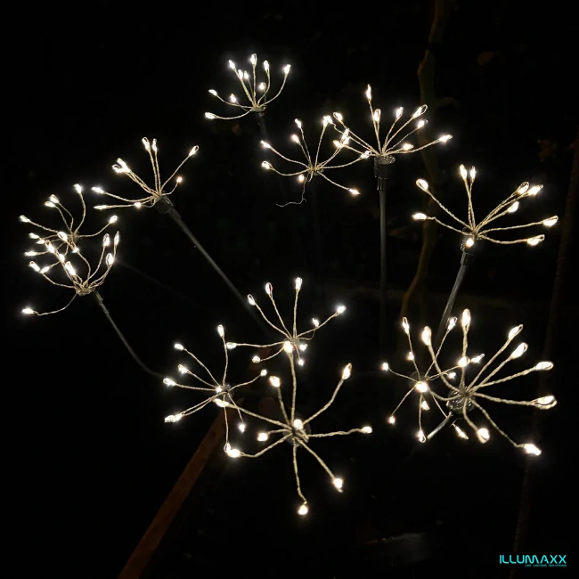 ILLUMAXX Svítidlo venkovní solární SOLAR DAISIES se soumrakovým čidlem, výška 73cm