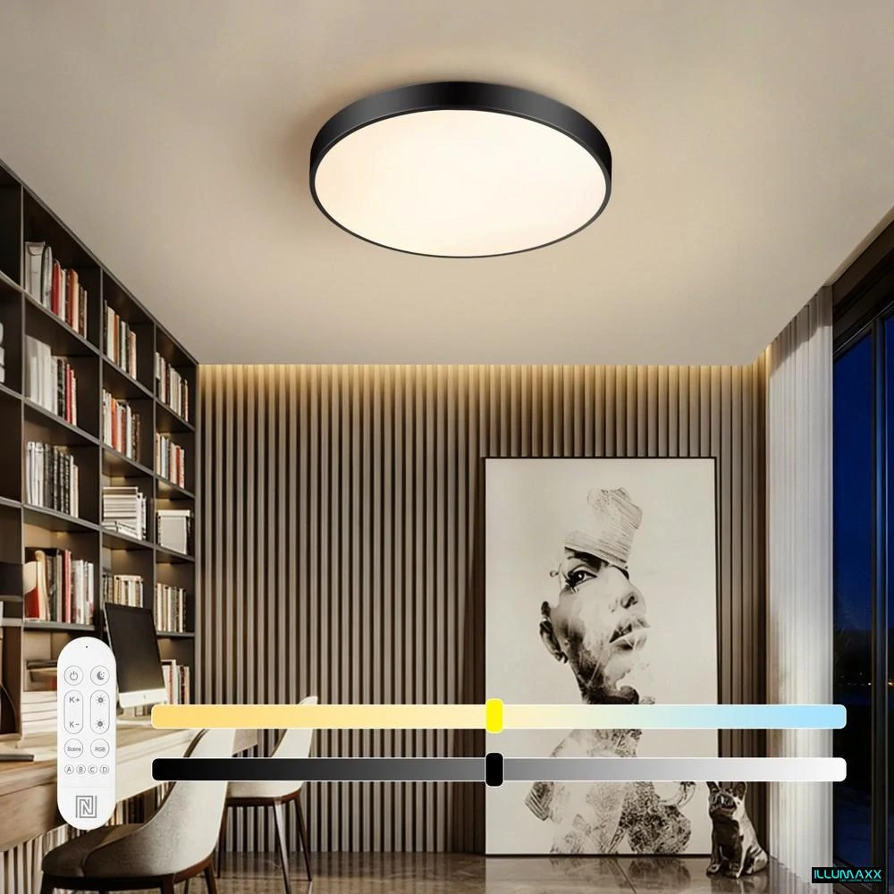 Chytré stropní LED svítidlo NEO SMART 50 cm, 48 W, černé, Wi-Fi, CCT