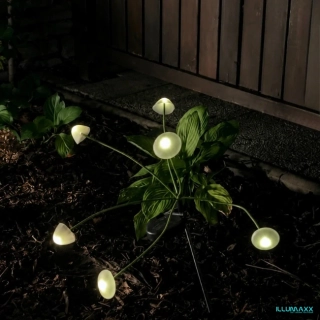 ILLUMAXX Svítidlo venkovní solární SOLAR MUSHROOMS se soumrakovým čidlem, výška 72cm